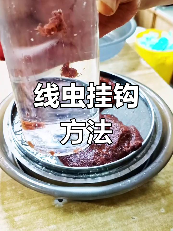 夹角钩挂线虫技巧,提升钓鱼效果