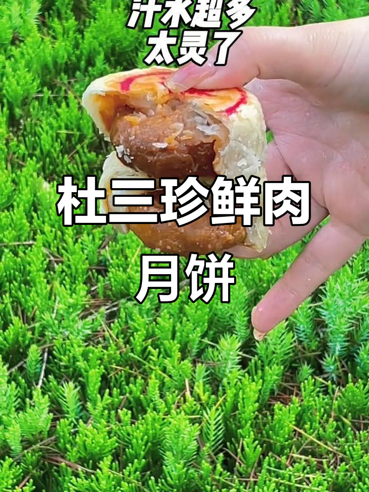 百年杜三珍鲜肉月饼,中秋必吃苏式美味