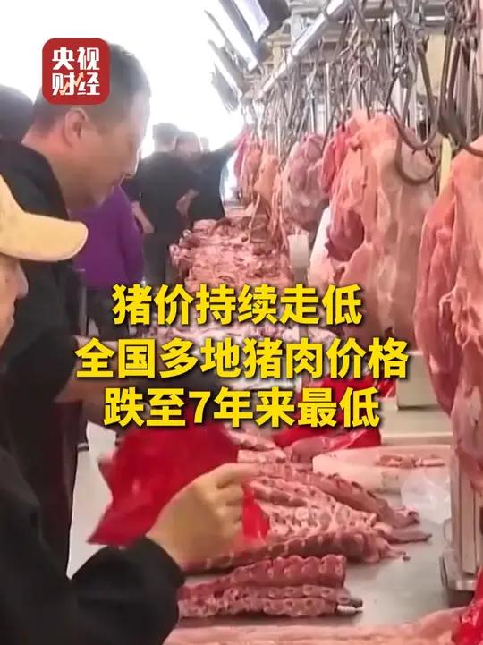 猪价持续走低 #全国多地猪肉价格跌至7年来最低