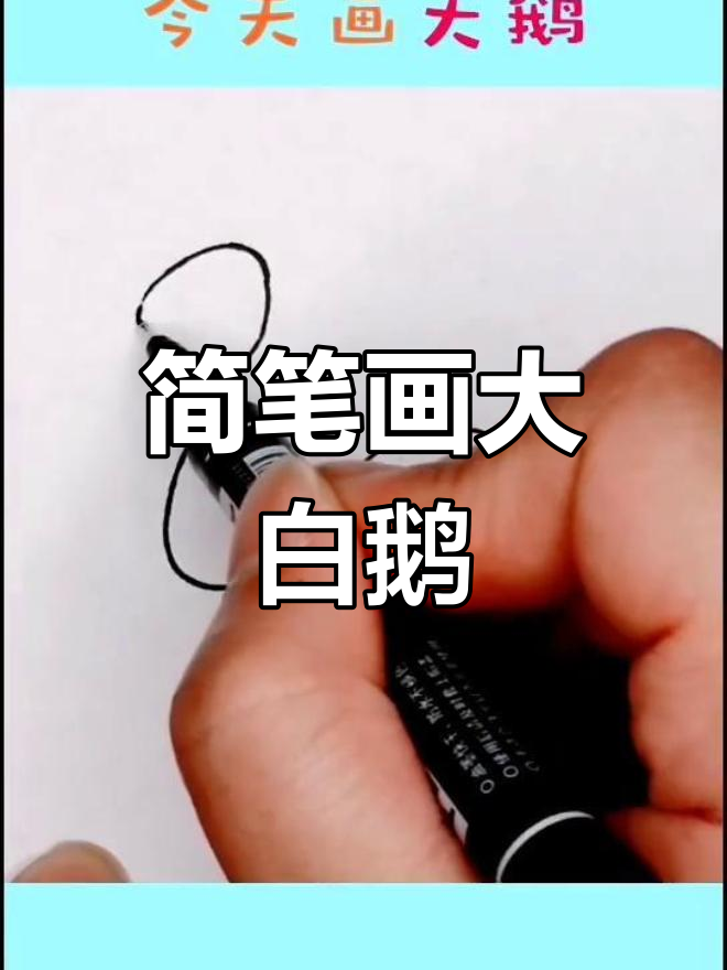 白鹅戏水,红掌拨波
