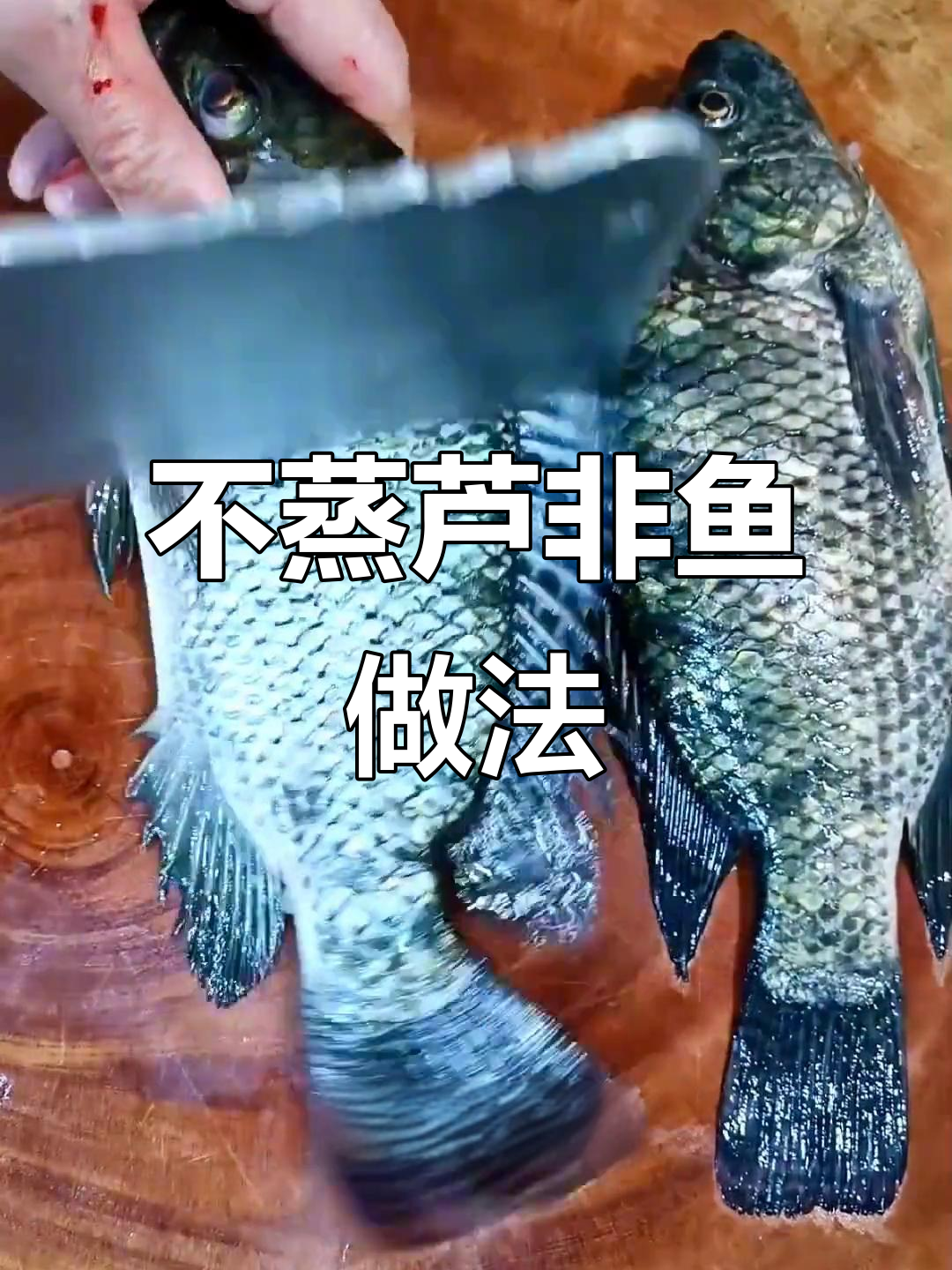 麻辣罗非鱼,简单又美味!教你做不蒸的芦荟鱼