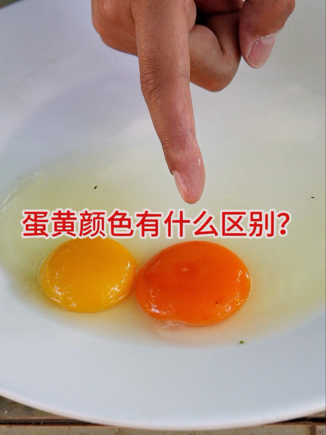 土鸡蛋蛋黄颜色你是如何认为