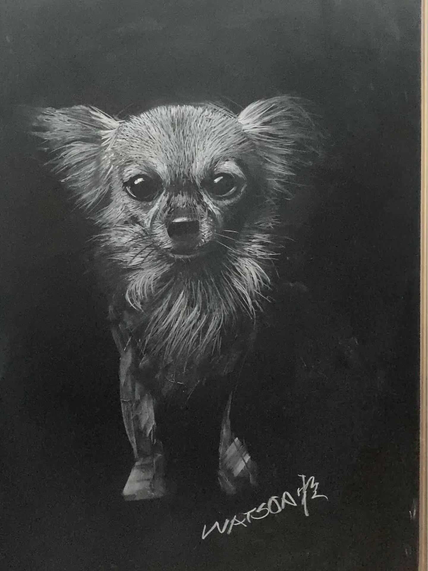 黑板就是这样画才能超越别人 这是粉笔作画的天花板吧 素描动物 粉笔画 一起学画画 狗狗画法