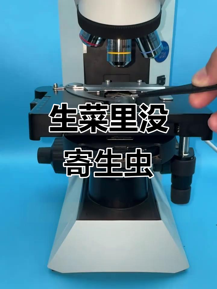 生菜放大显微镜下，竟然没有寄生虫？真相揭露