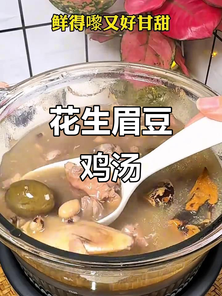 广东妈妈必备花生眉豆鸡脚汤，滋补又美味