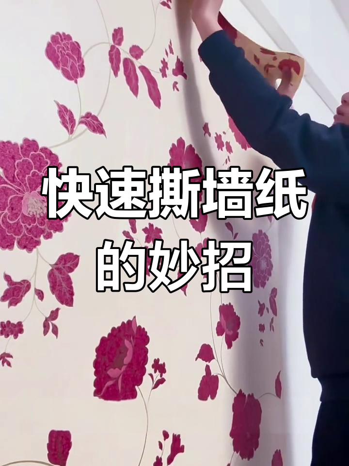 轻松撕墙纸,蒸汽熨斗与小苏打技巧大揭秘