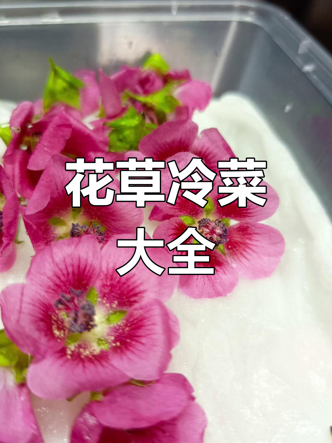 粉丝需求,分享冷菜常用花草名称与图片