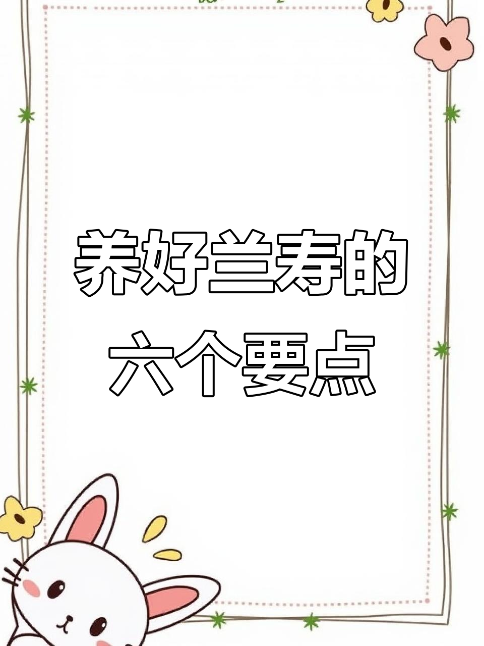 兰寿金鱼养殖六大秘诀，轻松避免翻肚死亡