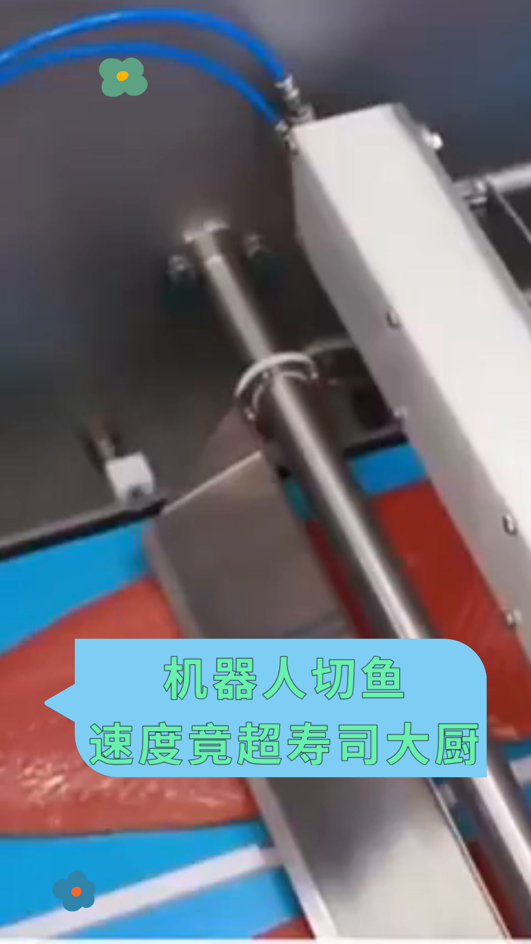 机器人切鱼速度竟超寿司大厨