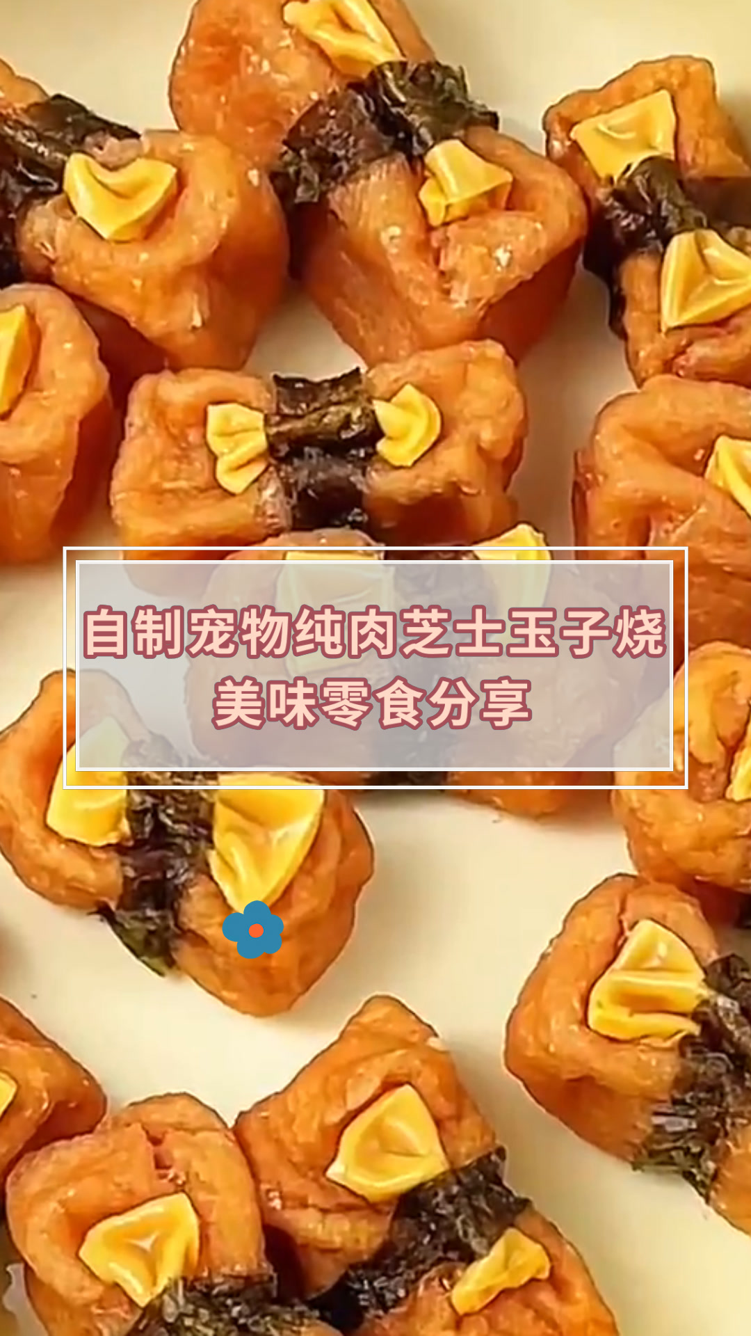 自制宠物纯肉芝士玉子烧美味零食分享