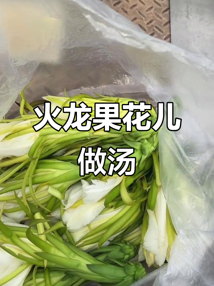 火龙果花怎么吃?晒干煲汤试试,味道超乎想象