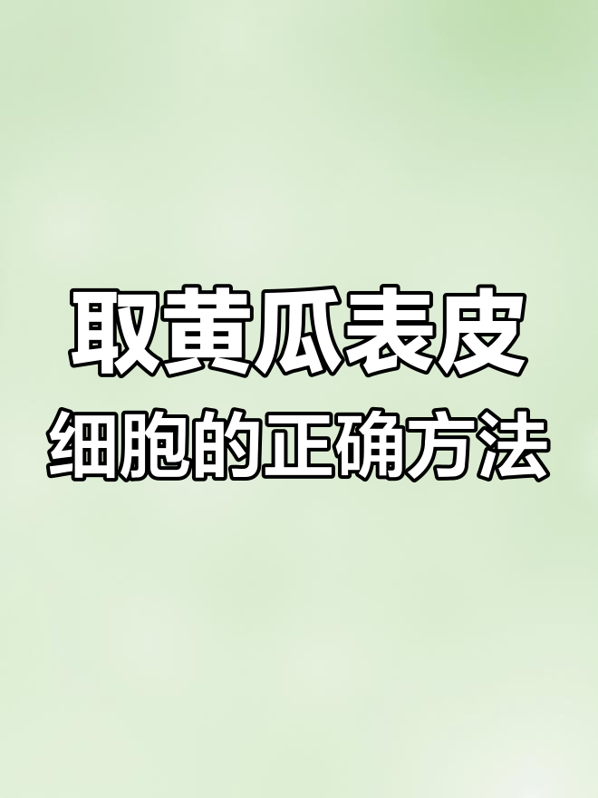 刮黄瓜表层果肉细胞技巧,轻松掌握!
