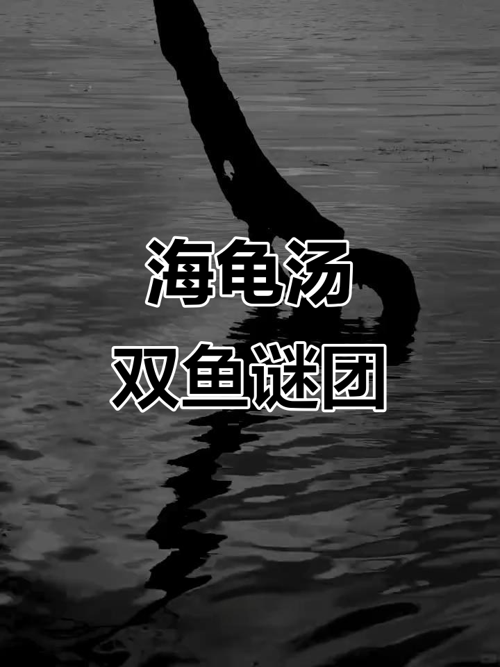 黑暗中的海龟汤,双鱼玉佩的秘密与赎罪之路