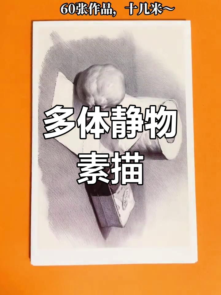 60张静物素描临摹卡,适合少儿美术教育