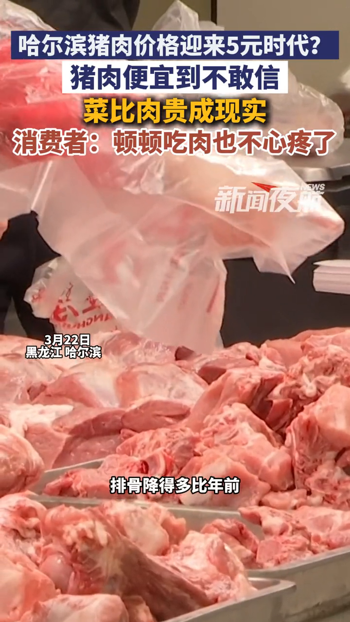 哈尔滨猪肉价格迎来5元时代?猪肉便宜到不敢信,菜比肉贵成现实