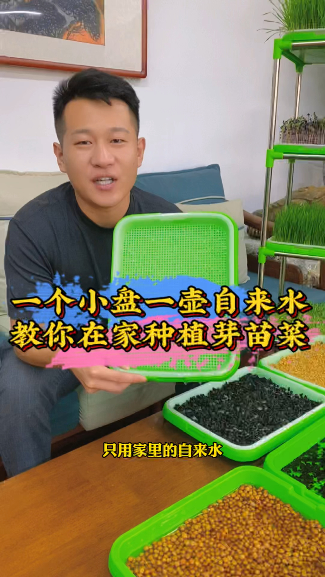 水培芽苗菜教学