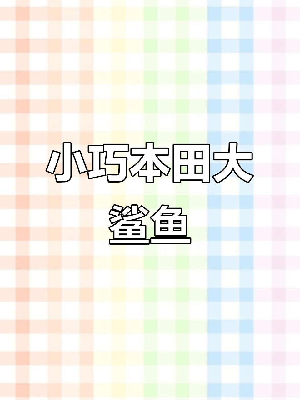 本田大鲨鱼：超低坐姿，轻松驾驭的巡航小排量