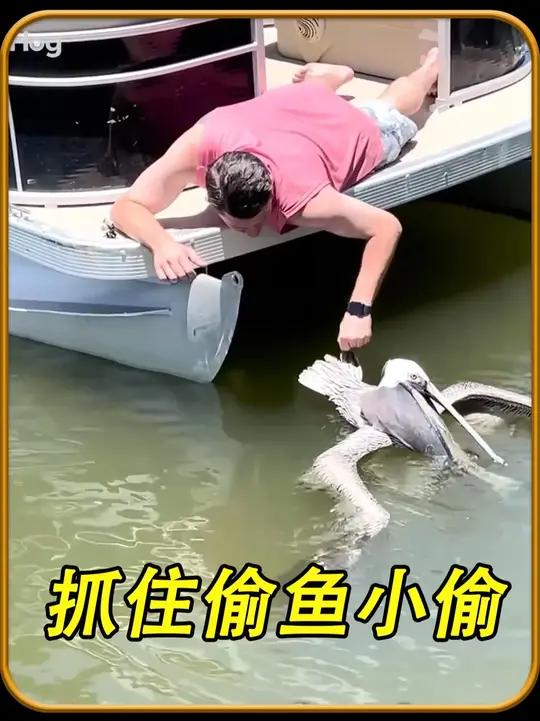 出来钓鱼的男子钓到了鸟
