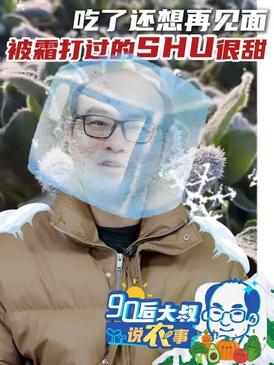 霜打的茄子蔫了,那为何被霜打过蔬果却更甜?本期90后大叔说农事,大叔给你摆摆被“打”过的菜