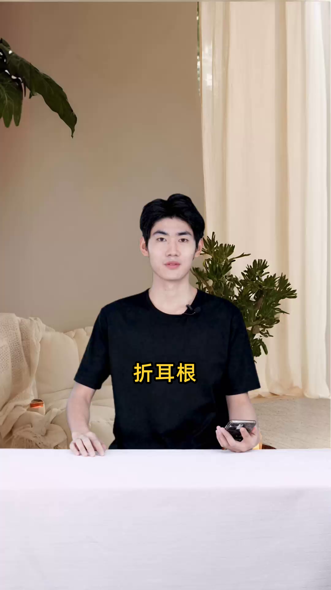 折耳根植物的叶子特征,包括形状、颜色等详细信息