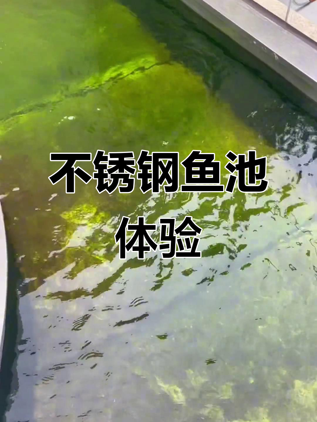 不锈钢鱼池效果大揭秘,稳当又美观!