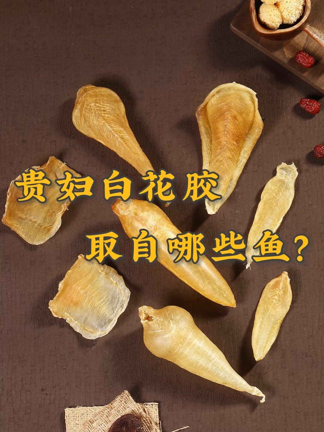 各种白花胶,分别取自哪些鱼?
