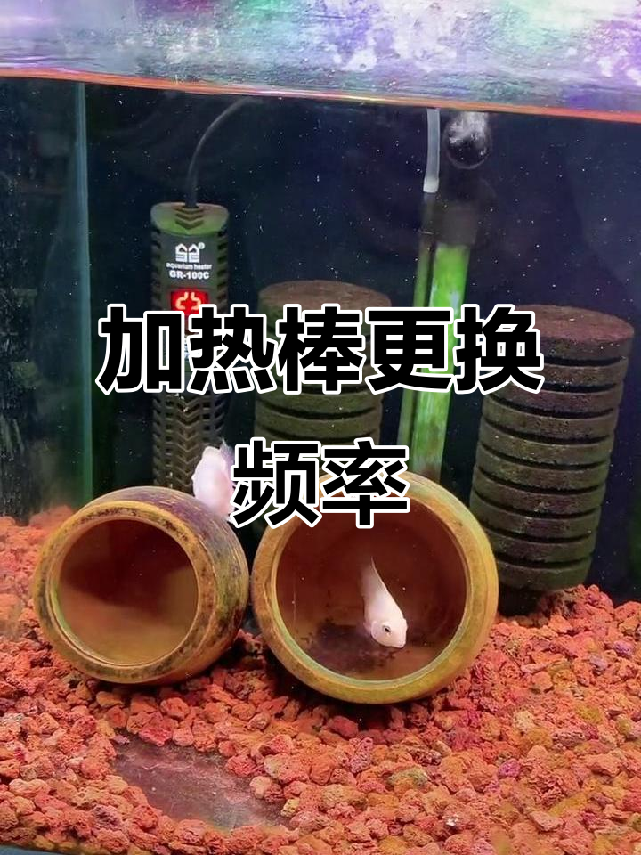 鱼缸加热棒多久换一次？用坏了才扔吗