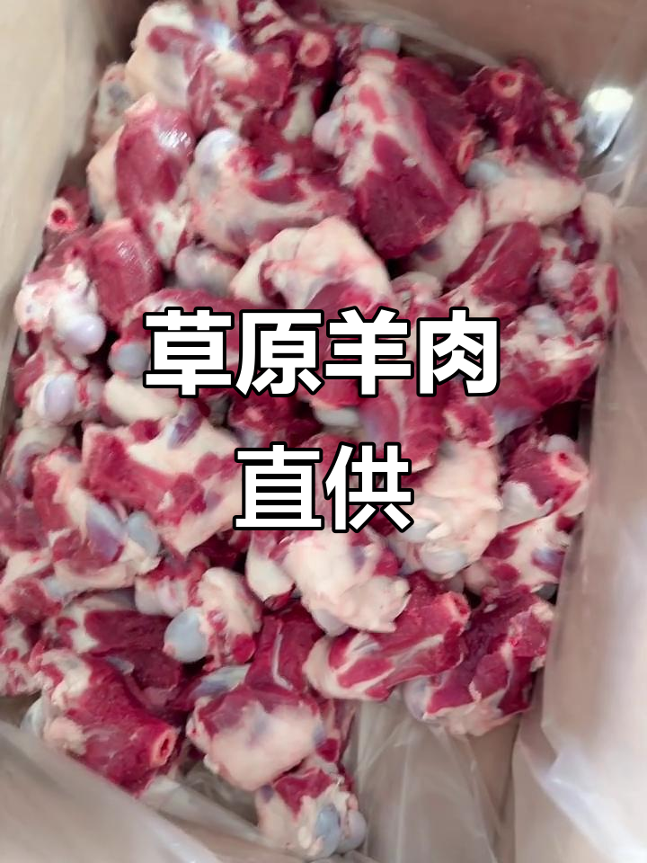 2025年西旗羊肉,自然散养,奶香浓郁,品质直发