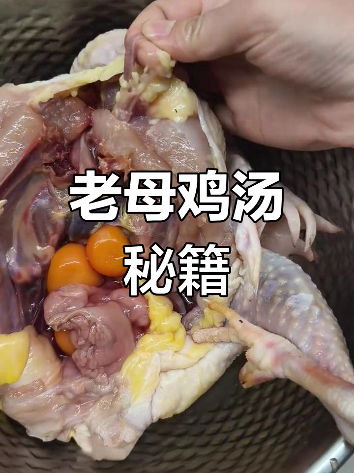 只需姜盐,炖出大别山老母鸡的醇香美味!