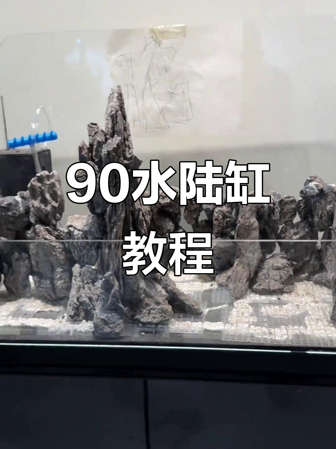 水陆缸制作全攻略:从材料到步骤详解