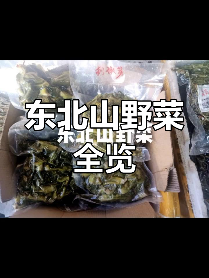 黑龙江山野菜大揭秘:这些美味你都知道吗?
