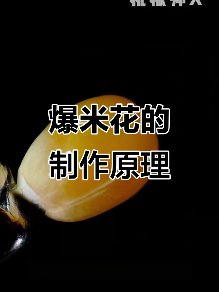 爆米花是如何形成的?揭秘玉米粒的秘密