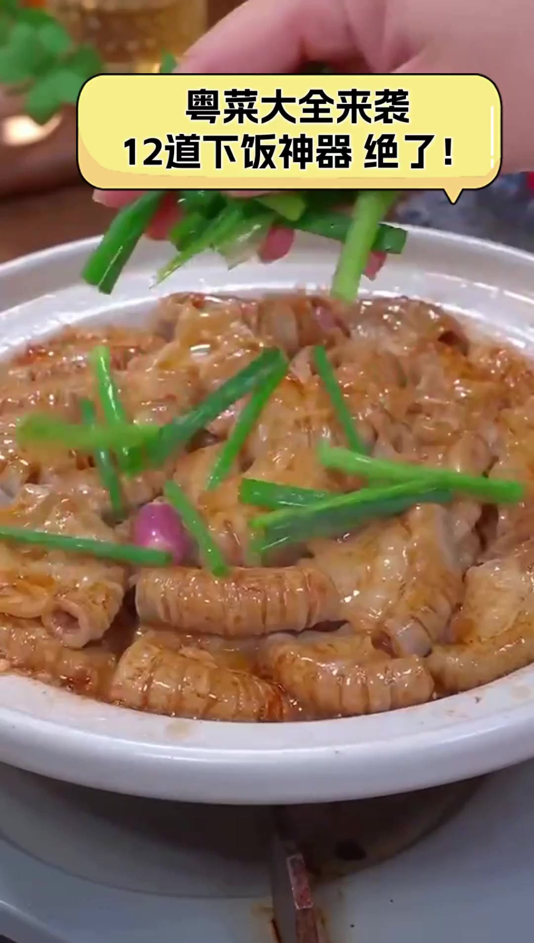 粤菜大全来袭,12道下饭神器,绝了!