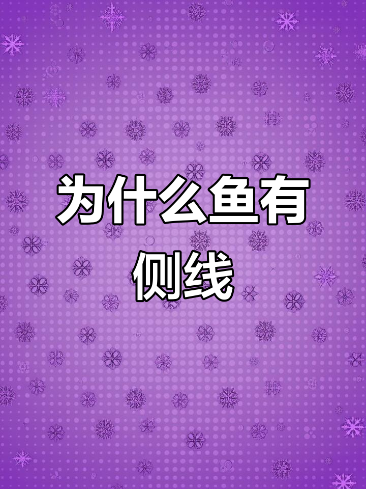 鱼身上的侧线到底有什么作用?