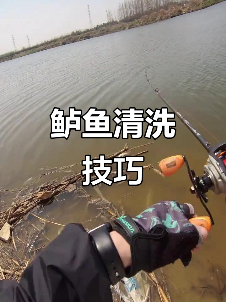 鲈鱼娘胎里洗腮,路亚钓法大揭秘
