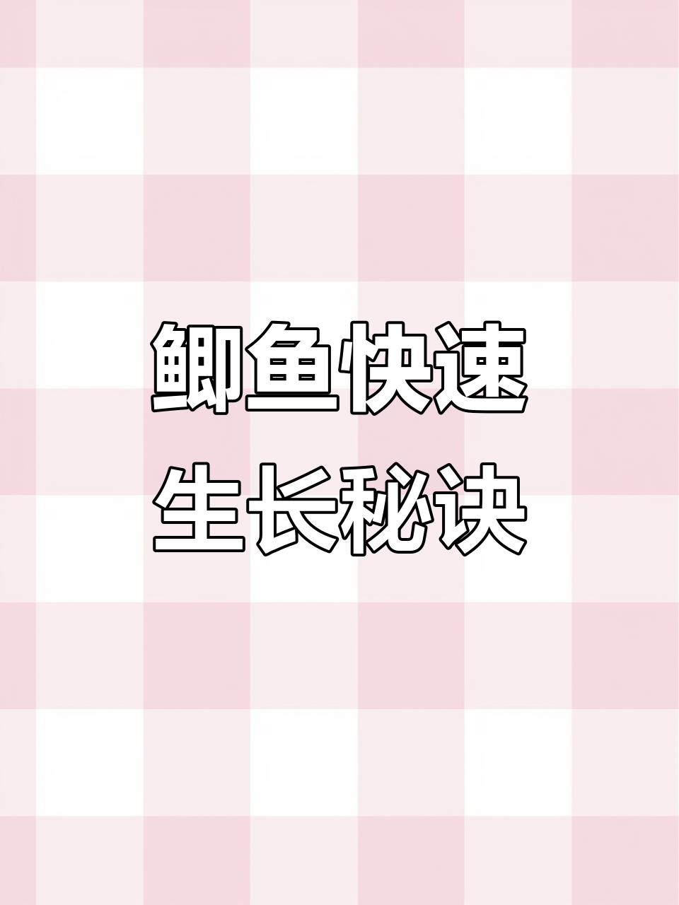 鲫鱼苗吃得多,长得快!