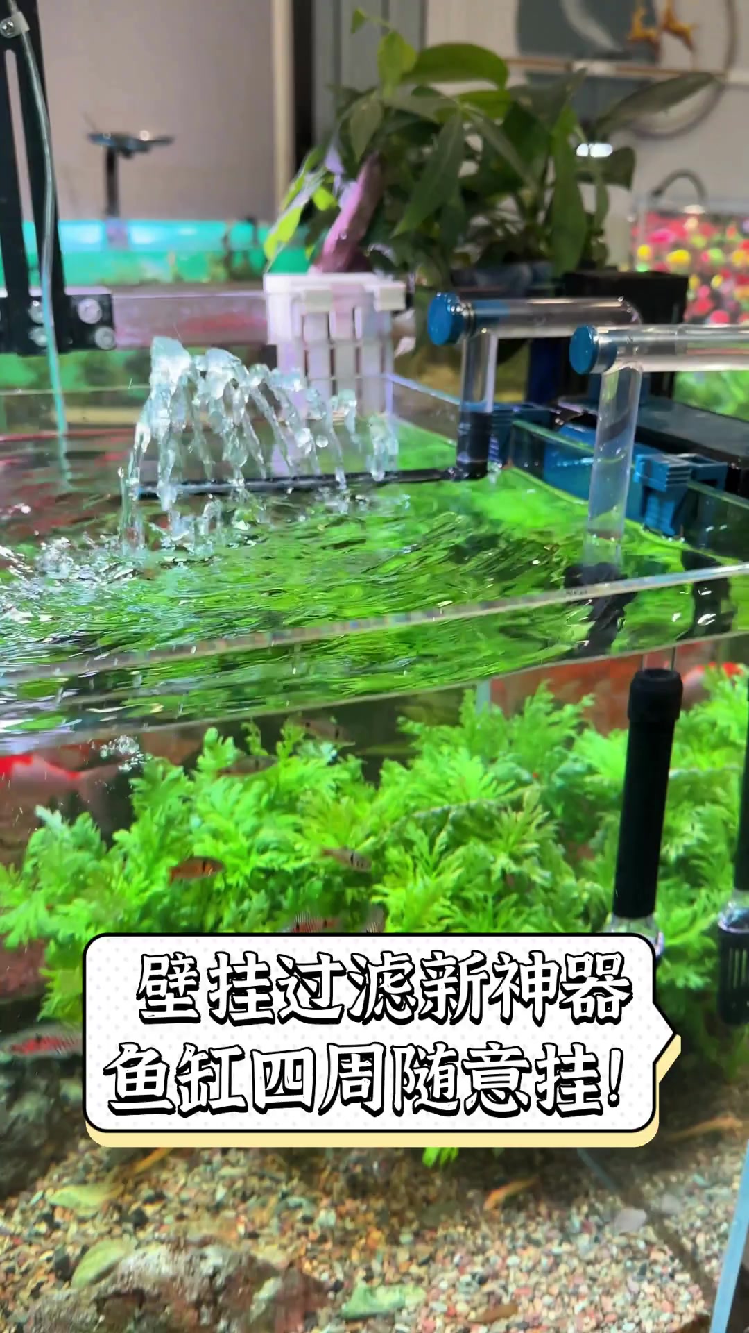壁挂过滤新神器,鱼缸四周随意挂!