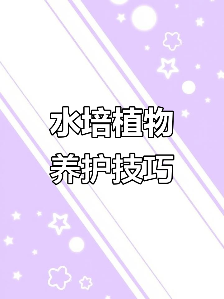 肉质根植物需避光愈合,叶片干燥时修剪或喷水保湿