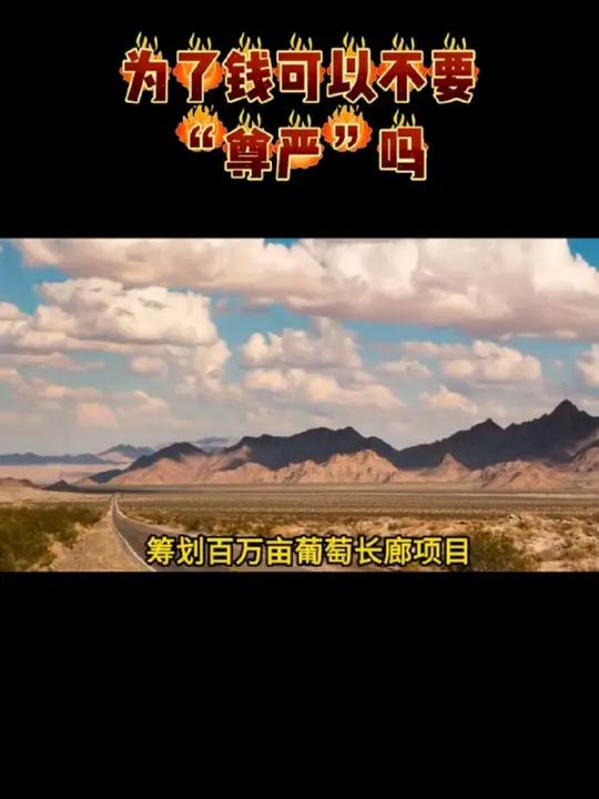 宁夏贺兰山东麓葡萄酒