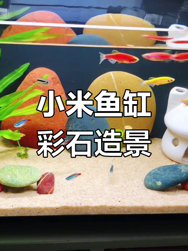 小米鱼缸彩石造景全攻略,打造水底世界