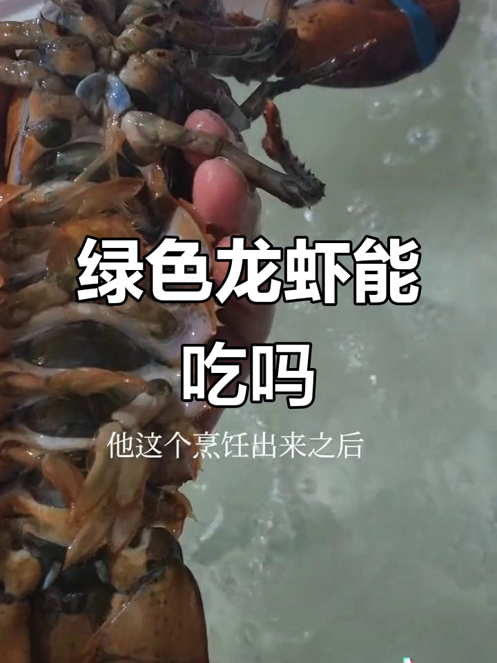 绿色龙虾并非毒物，虾青素让母龙变绿