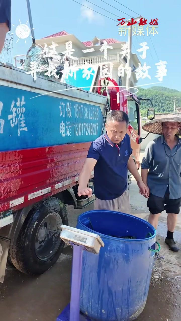 万山区鱼塘乡大龙村稻渔综合种养基地投放5000余斤鱼苗,喜望8月底9月初“稻渔双收” 稻花