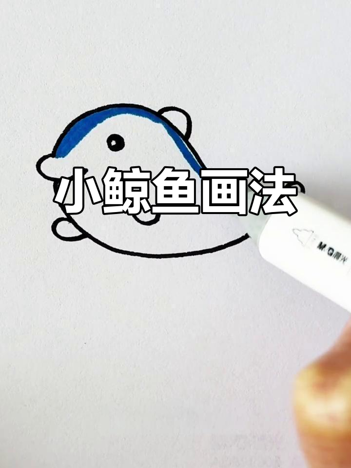 轻松学会小鲸鱼简笔画,简单又有趣