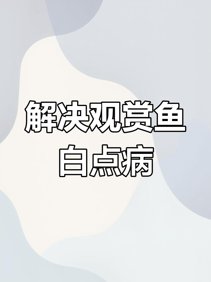 迷你鹦鹉鱼长白点?教你轻松解决!