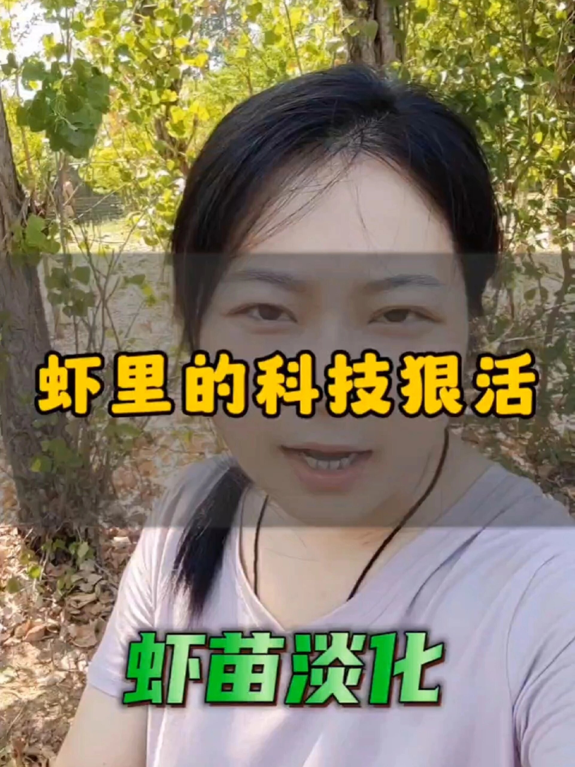 淡水虾的养殖秘密