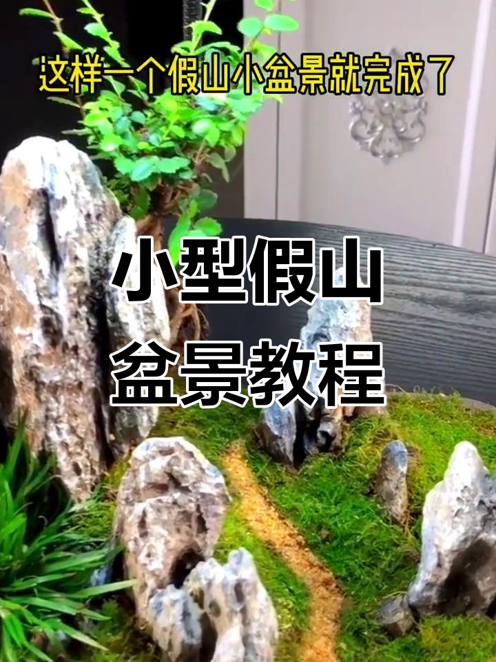 青龙石假山小盆景制作,打造自然景观