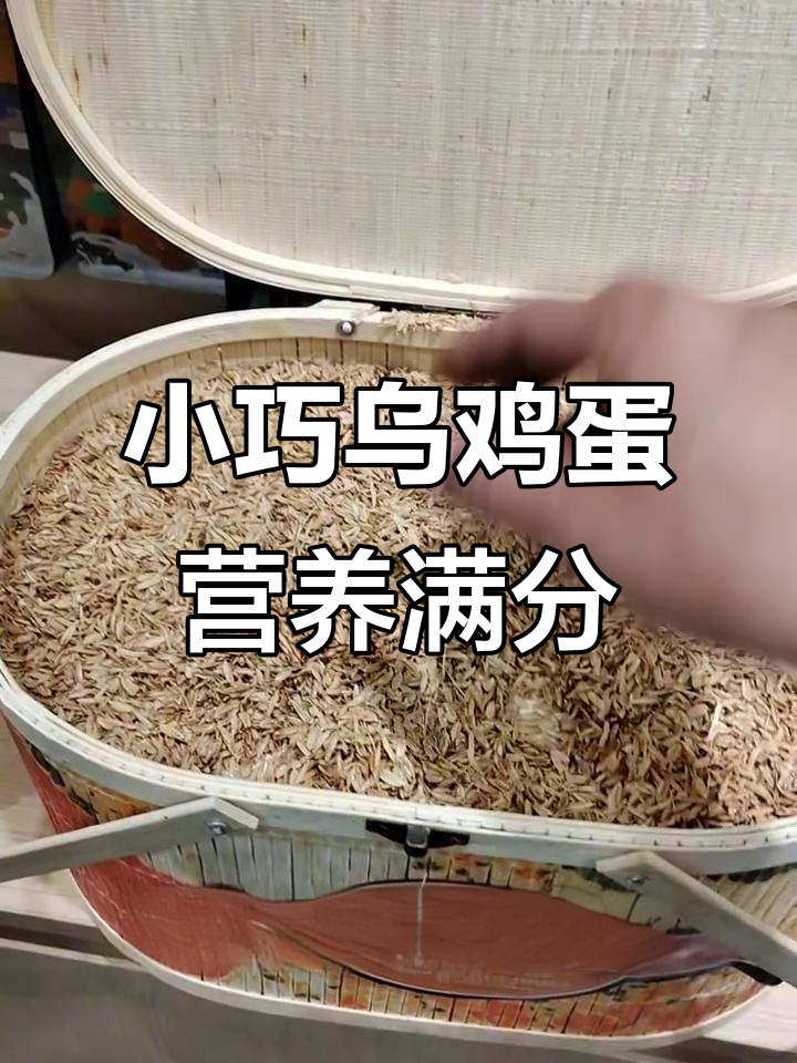 乌鸡蛋的独特魅力:小巧却营养满满