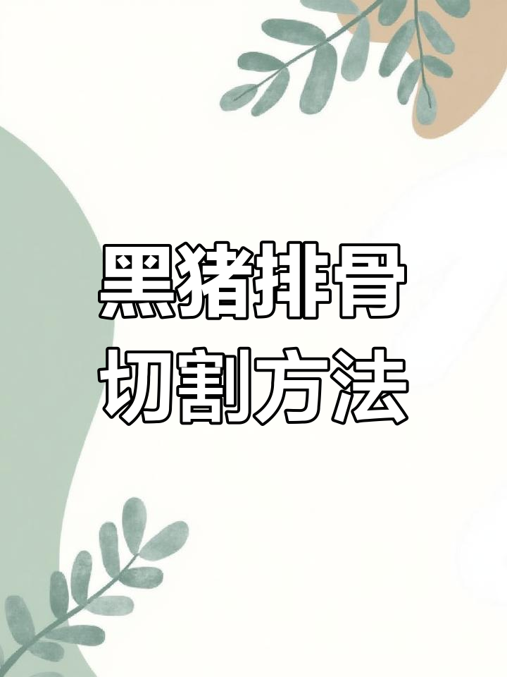 黑猪肉仔排分割技巧,中段与前排详解