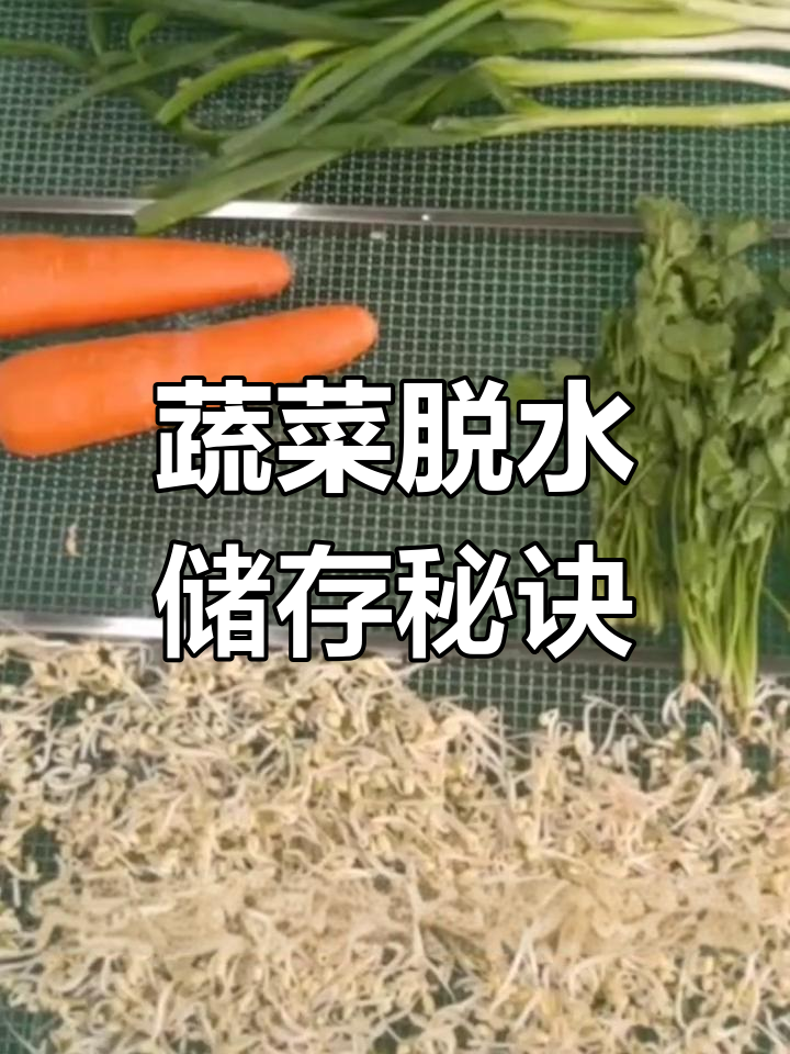 蔬菜烘干法,轻松保存不腐烂
