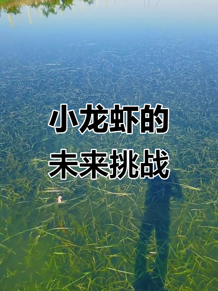 全球热议小龙虾,选育新品种刻不容缓!